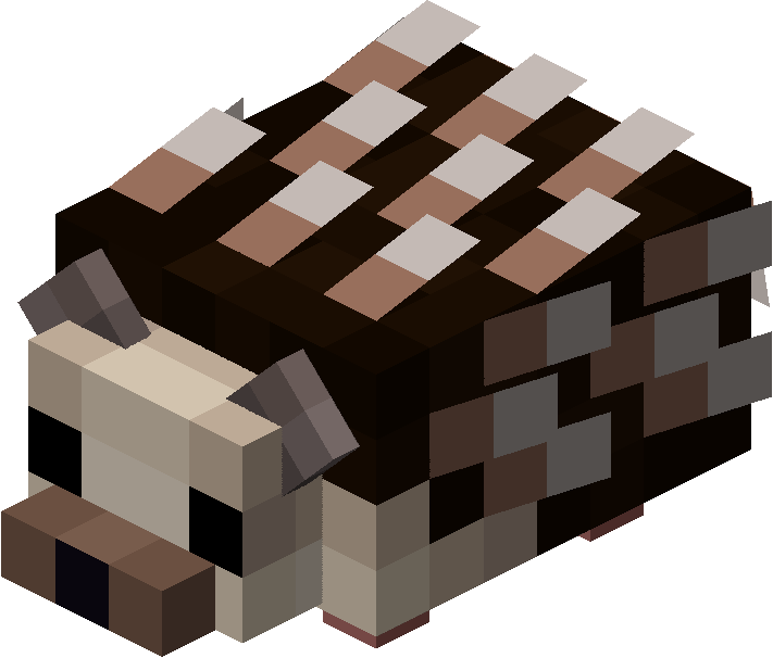 Hedgehog Image